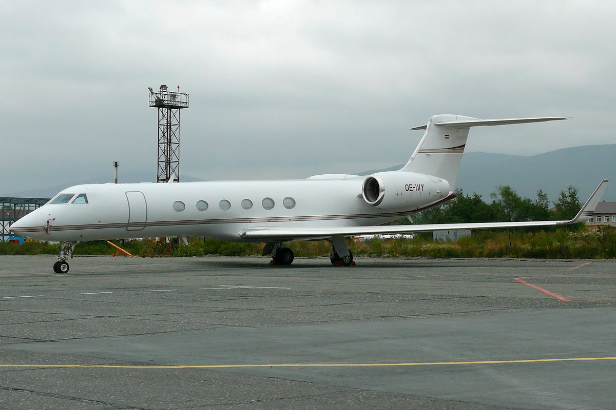 OE-IVY
